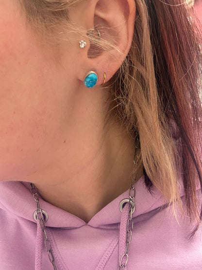 Bluebird Earrings